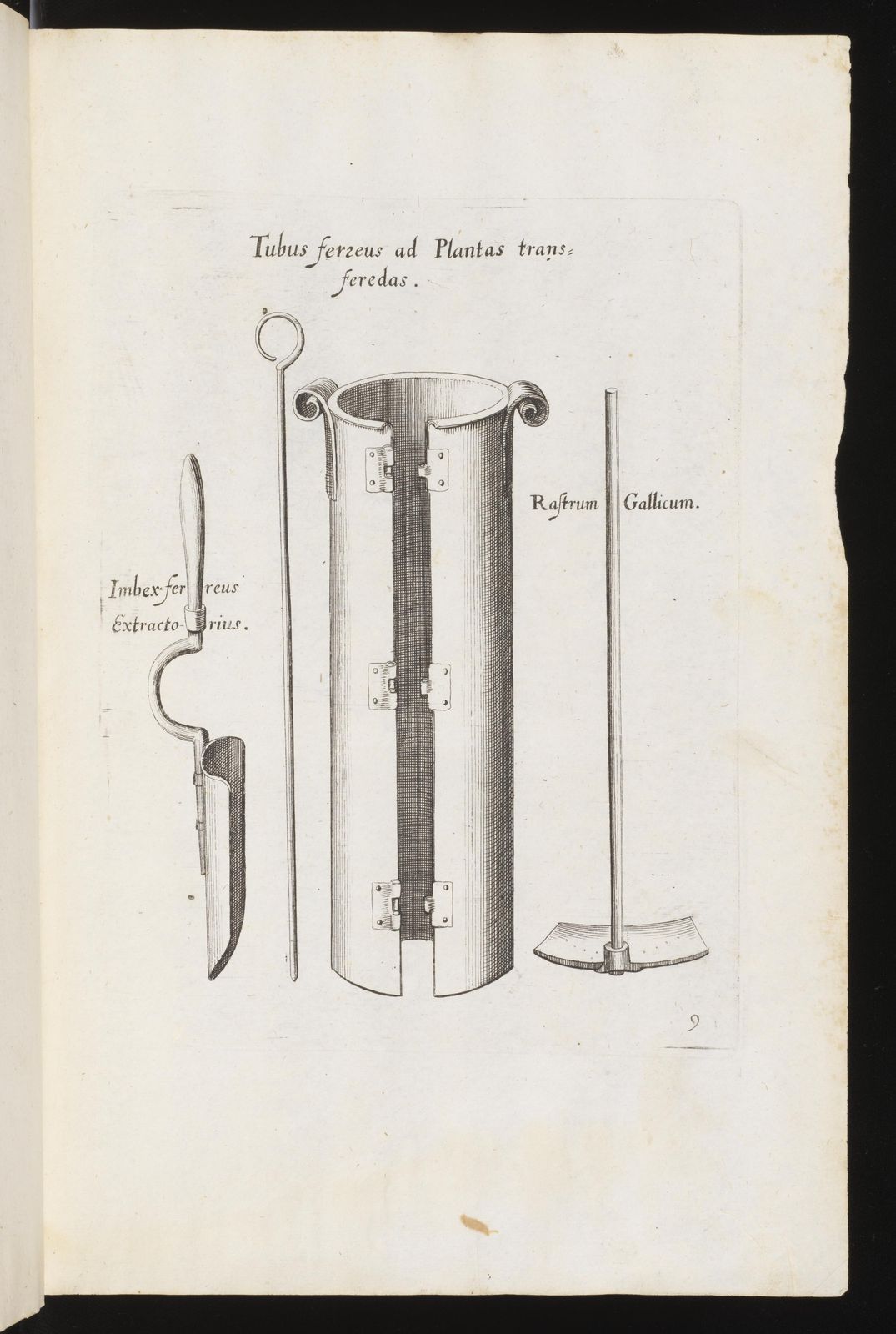 Florilegium renovatum et auctum : Das ist: Vernewertes und vermehrtes Blumenbuch