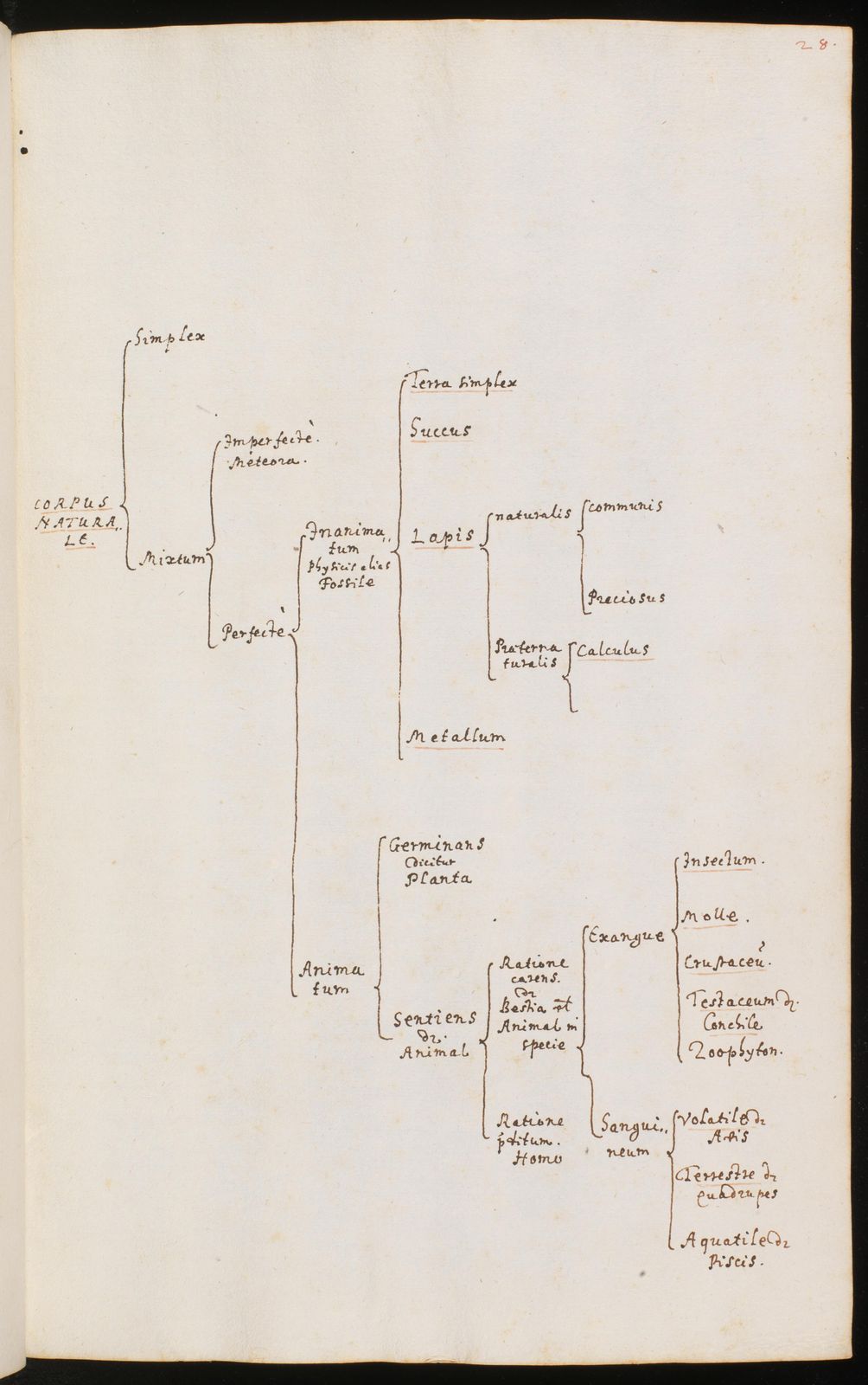 Thesaurus rerum naturalium