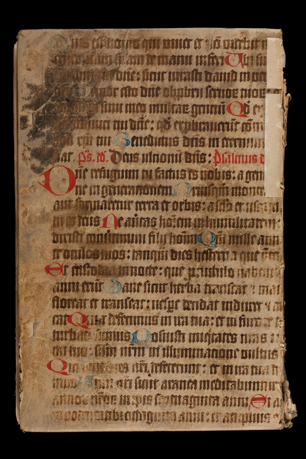 Katalog zu Remigius Faeschs Bibliothek