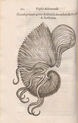 De reliquis animalibus exanguibus libri quatuor, post mortem eius editi ; Nempe de mollibus, crustaceis, testaceis, et zoophytis
