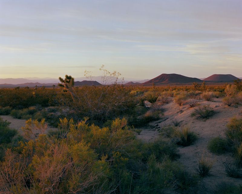 Mojave National Preserve, Arizona
