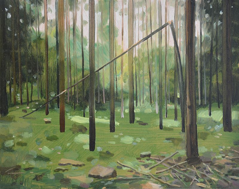 SCHÖNER WALDSCHADEN