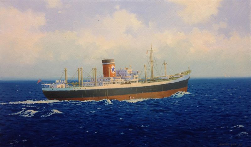 AUCKLAND STAR / Oel auf Leinwand 40x22 / 2017