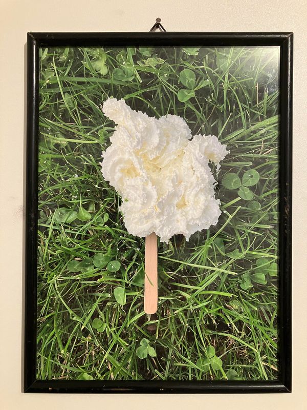 17x23cm / Digitalprint gerahmt 2023