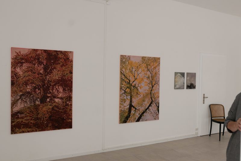 Ausstellungsansicht im espace38 in Biel