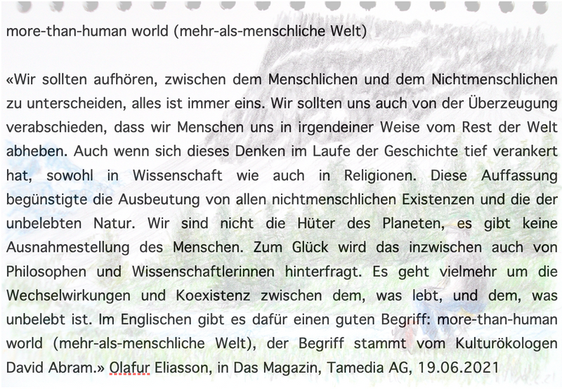 &#39;more-than-human world&#39;, Text zum Münstertaler Skizzenbuch Juni 2021