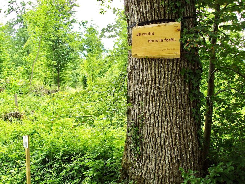 Zitattafel Louise Bourgeois (1911 - 2010): &quot;Je rentre dans la forêt.&quot; (Ich gehe in den Wald zurück.)