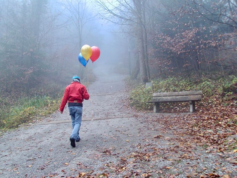 LB kauft in der Stadt 3 Ballone und wandert bei dichtem Nebel auf den Üetliberg. Im Gepäck 3 Zeichnungen in Form einer Feder, basiernd auf Familienfotos.