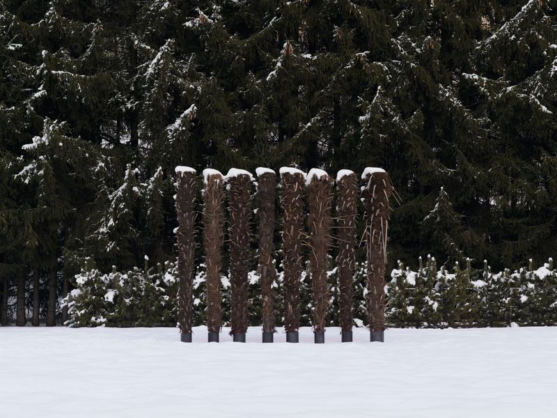 Acht Säulen für den Winter