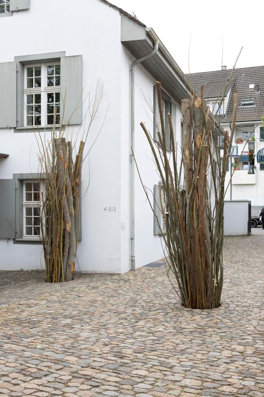 Kilian Rüthemann, Harvest Honors, 2024, Holz / Wood, Dimensionen variabel / Dimensions variable, Kunst Raum Riehen, 2024. Courtesy the artist & Fabian Lang, Zurich. Photo: Gina Folly