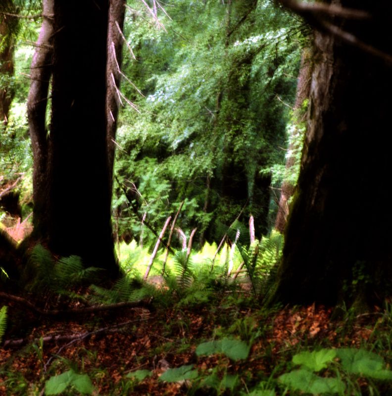 Fokus Nr. 1, 2018/2022