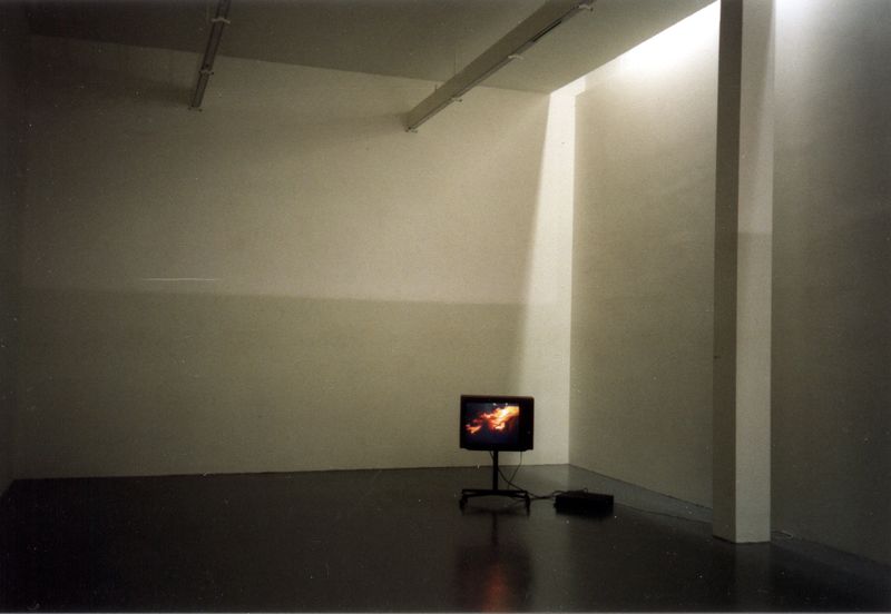 Installation 2: Home is where your heart is. Installation: Television on roll rack
Videoloop: A house is on fire in a meadow. The flames change direction in the wind. Sometimes the scenery is brightly illuminated and two human figures leaning against each other become visible in the foreground. The aggressiveness of the fire is the central aspect of the work. The scenery is only recognizable in outlines.
Audio: a Russian pop song.