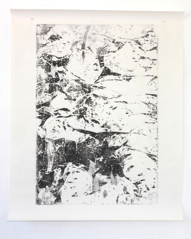 Puu, 98 x 124 cm, 2018