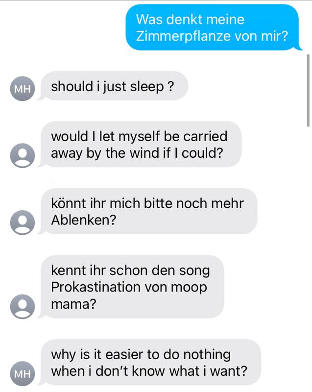 Fragen unter Fragen