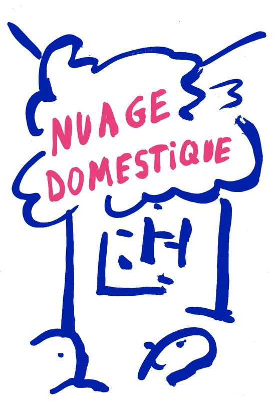 Nuage Domestique