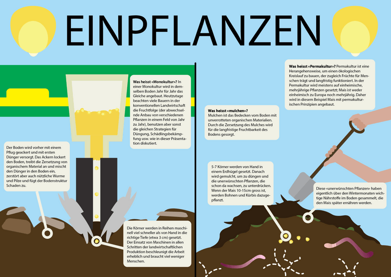 Einpflanzen