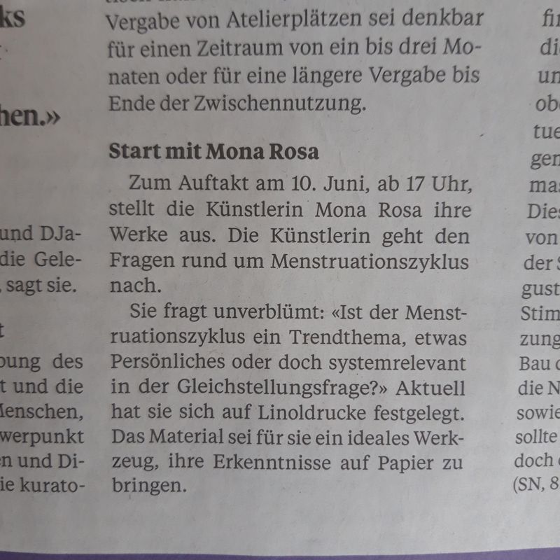 Artikel, Schaffhauser Nachrichten