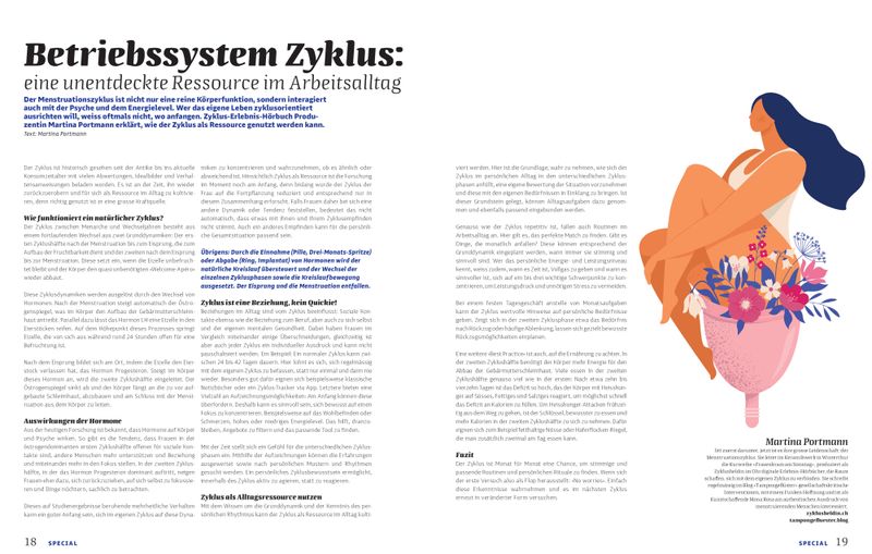 Artikel, Betriebssystem Zyklus