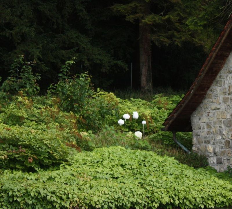 Austellungssituation Stein Egerta, Schaan, 2014