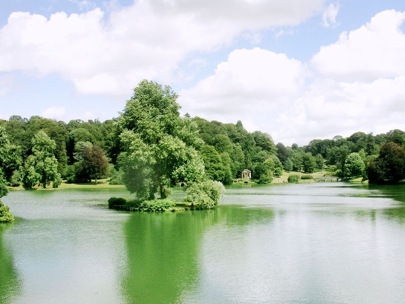 Stourhead II