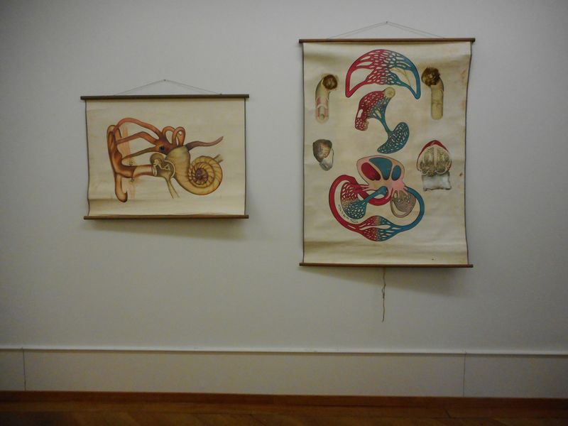 Installationsansicht, Cantonale Bern Jura 2018, Kunsthaus Centre d’art Pasquart, 02.12.18 - 13.01.19