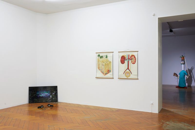 Installationsansicht, me, myself and I, Stadtgalerie Bern, Cantonale Berne Jura 2018, 13.12.2018 — 26.01.2019