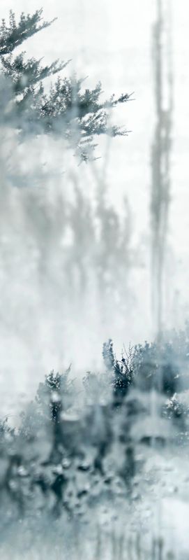 In Bildern denken, 120 x 40 cm, 2019