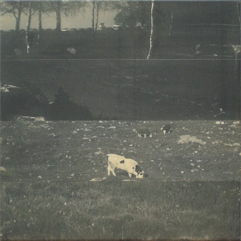 1991/92-2002 Nr 8 (©2014, ProLitteris, Zürich), 50 x 50 cm, Öl auf Fotoleinwand