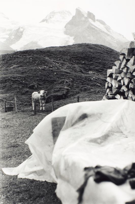 1990 Lauterbrunnental Nr 12 (©2015, ProLitteris, Zürich), 36.4 x 24.2 cm, Vintageprint auf Barytpapier: ein Abzug