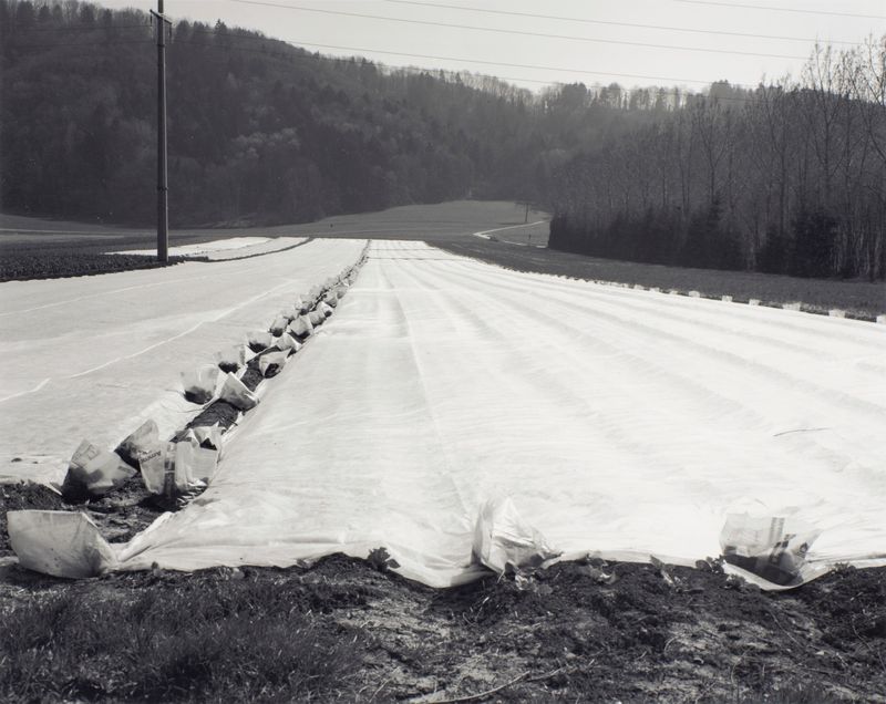 1991-92 Kultur-Landschaft Nr 9 (©2015, ProLitteris, Zürich), 27.5 x 34.8 cm, Vintageprint auf Barytpapier: drei Abzüge