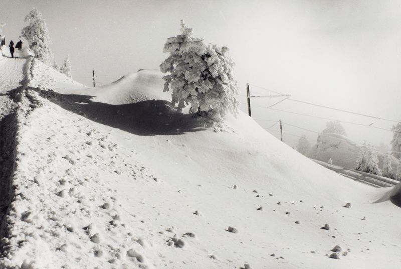 1991-92 Kultur-Landschaft Nr 15 (©2015, ProLitteris, Zürich), 24.9 x 37.3 cm, Vintageprint auf Barytpapier: drei Abzüge