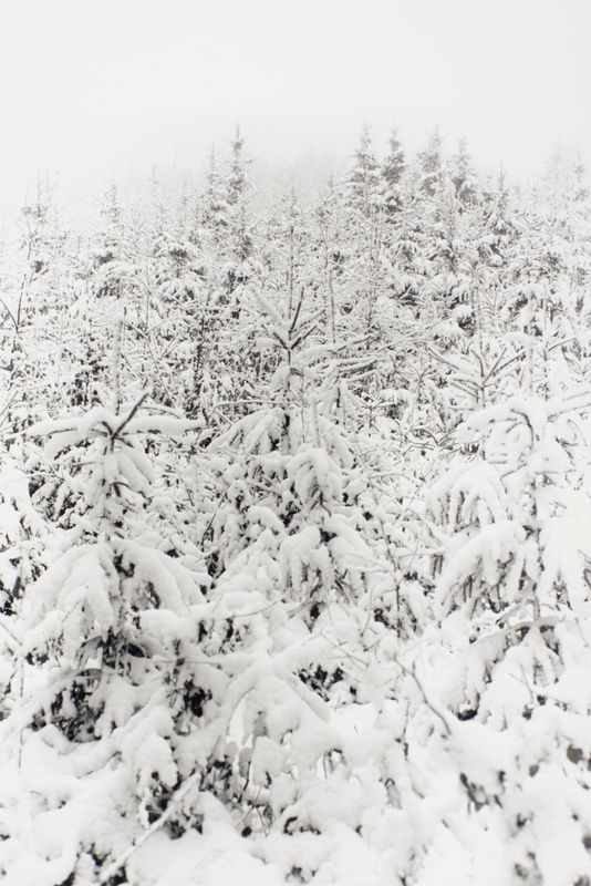 1991-92 Kultur-Landschaft Nr 17 (©2015, ProLitteris, Zürich), 37.3 x 24.8 cm, Vintageprint auf Barytpapier: vier Abzüge