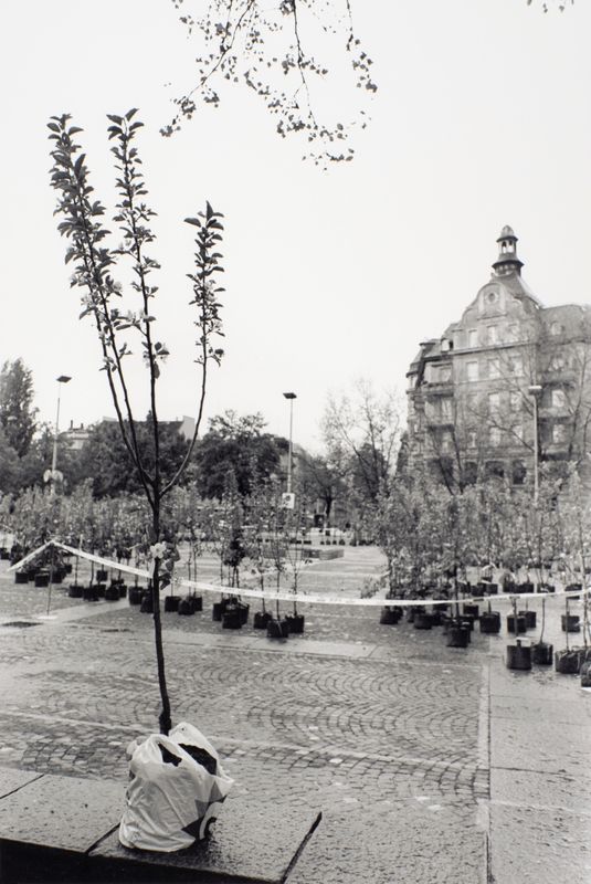 1991-92 Kultur-Landschaft Nr 19 (©2015, ProLitteris, Zürich), 37.3 x 24.9 cm, Vintageprint auf Barytpapier: fünf Abzüge