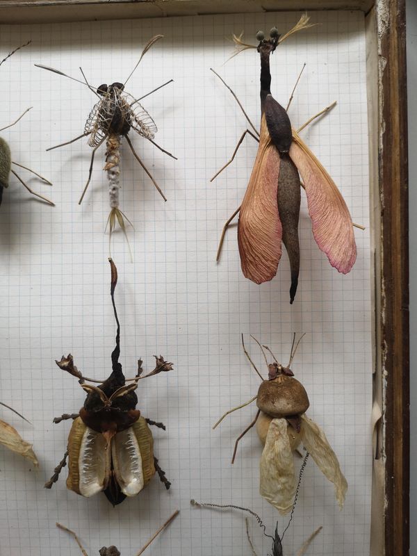 Naturhistorisches Museum Bern