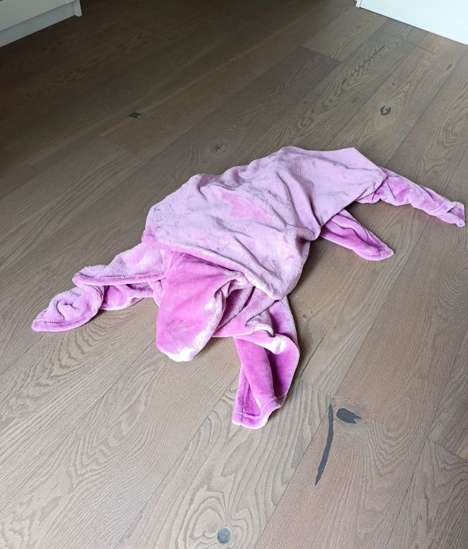 Das neue Haustier von Adele