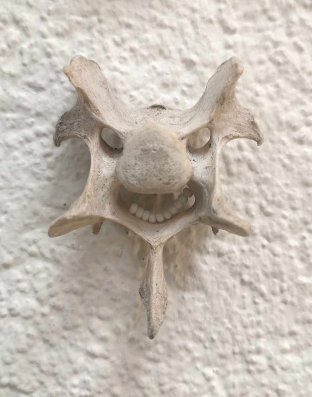 Knochen, Nylonfaden, Glasperlen | H7 B5 T4 cm