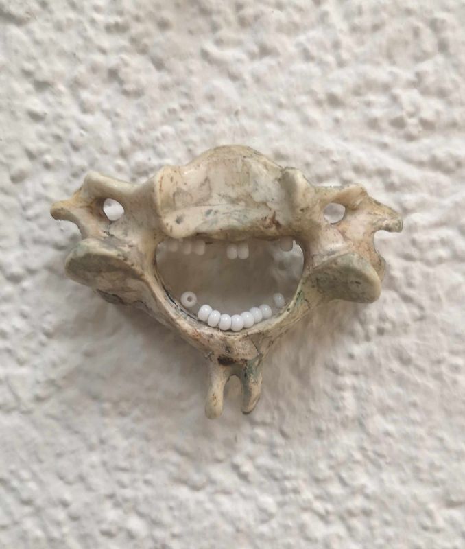 Knochen, Nylonfaden, Glasperlen | H 4,5 B 5,5 T 2,5 cm