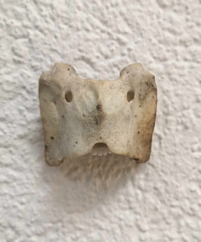 Knochen, Nylonfaden, Glasperlen | H 4 B 5 T 3 cm