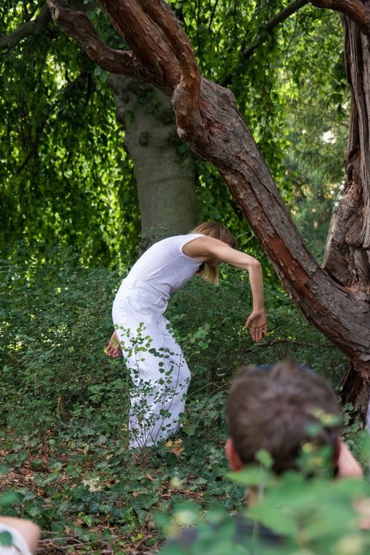 In the Mood for Plants. Performance with an Incense Cedar