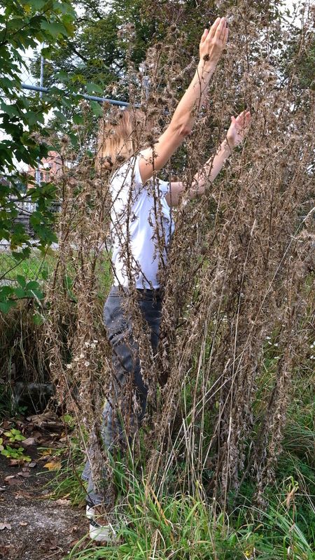 In the Mood for Thistles, eine Videoperformance