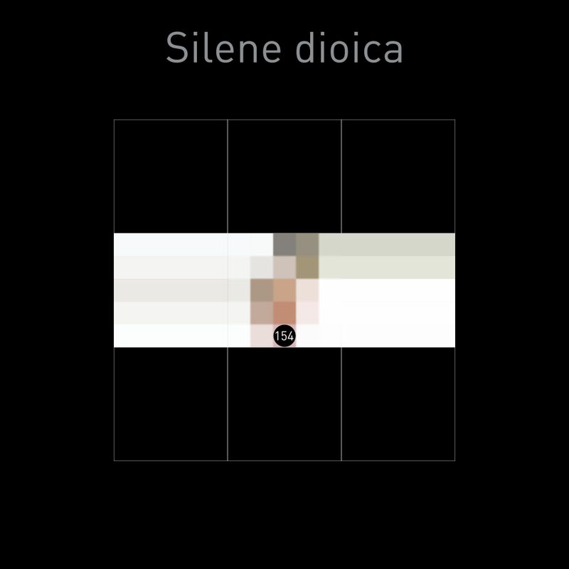 false