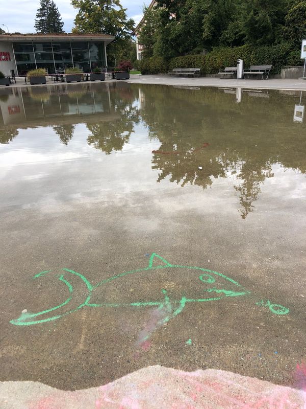 the day after