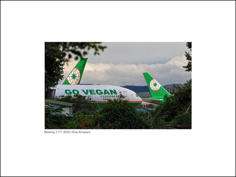 go vegan