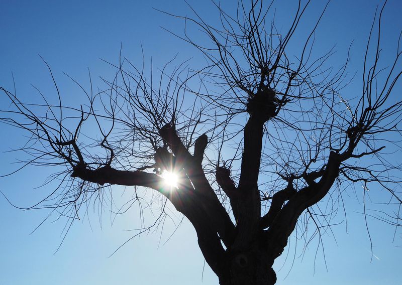 Sonnenherz03
