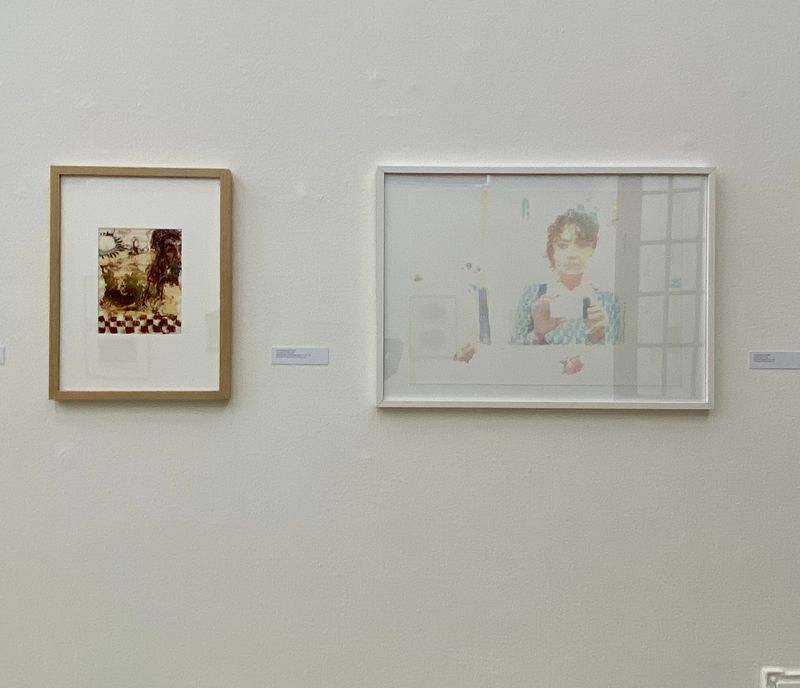 Genius Loci Salodorensis. Kunst aus und für Solothurn. Kunstmuseum Solothurn mit Werken von Verena Baumann  und Annatina Graf. 2020.