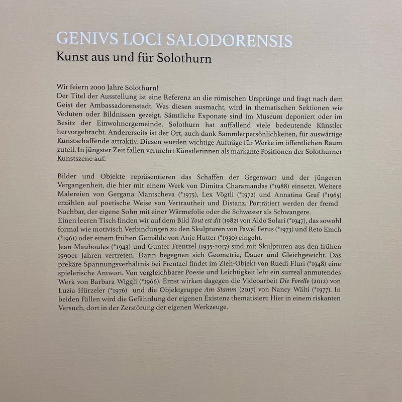 Genius Loci Salodorensis. Kunst aus und für Solothurn. Kunstmuseum Solothurn. 2020.