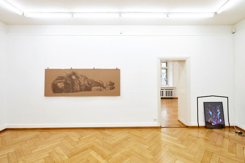 «Mes voisins inconnus 2», Jahresausstellung der Solothurner Künstlerinnen und Künstler, Kunstmuseum Olten, 2017.