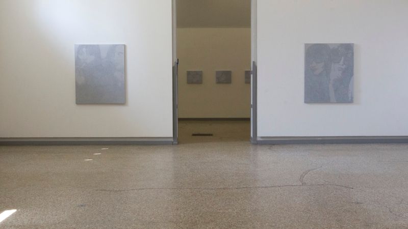 Ausstellungsansicht «Annatina Graf - Traversata», Einzelausstellung, Kunstmuseum Solothurn, 2015.