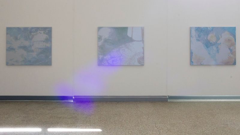 Ausstellungsansicht «Annatina Graf - Traversata», Einzelausstellung, Kunstmuseum Solothurn, 2015.