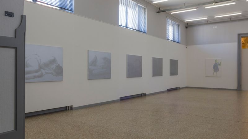 Ausstellungsansicht «Annatina Graf - Traversata», Einzelausstellung, Kunstmuseum Solothurn, 2015.